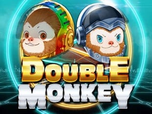 Double Monkey screenshot